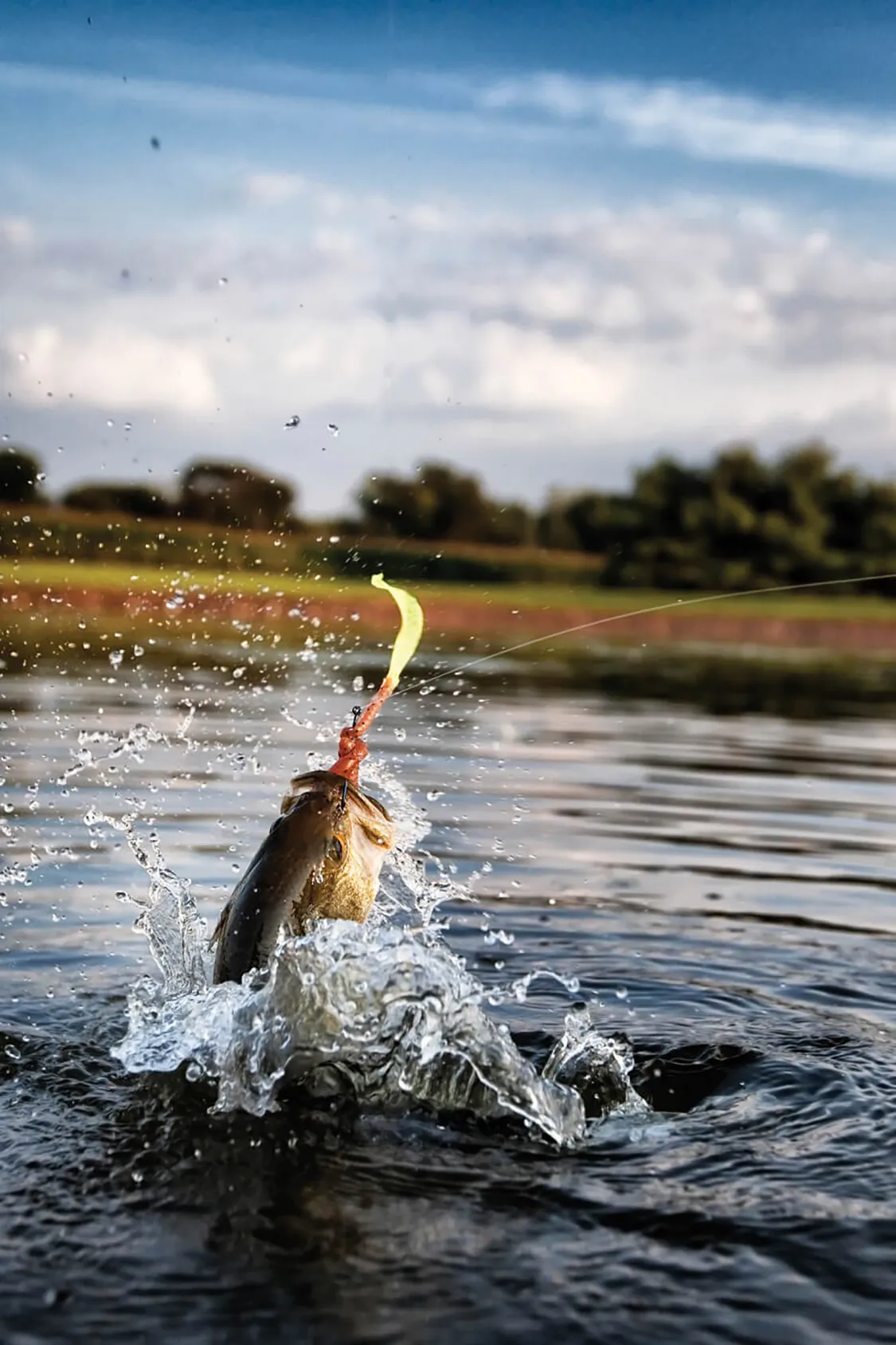 It's all about weight on a kayak. Researching the type of fish species in the area allows you to tailor your tackle and streamline your load.