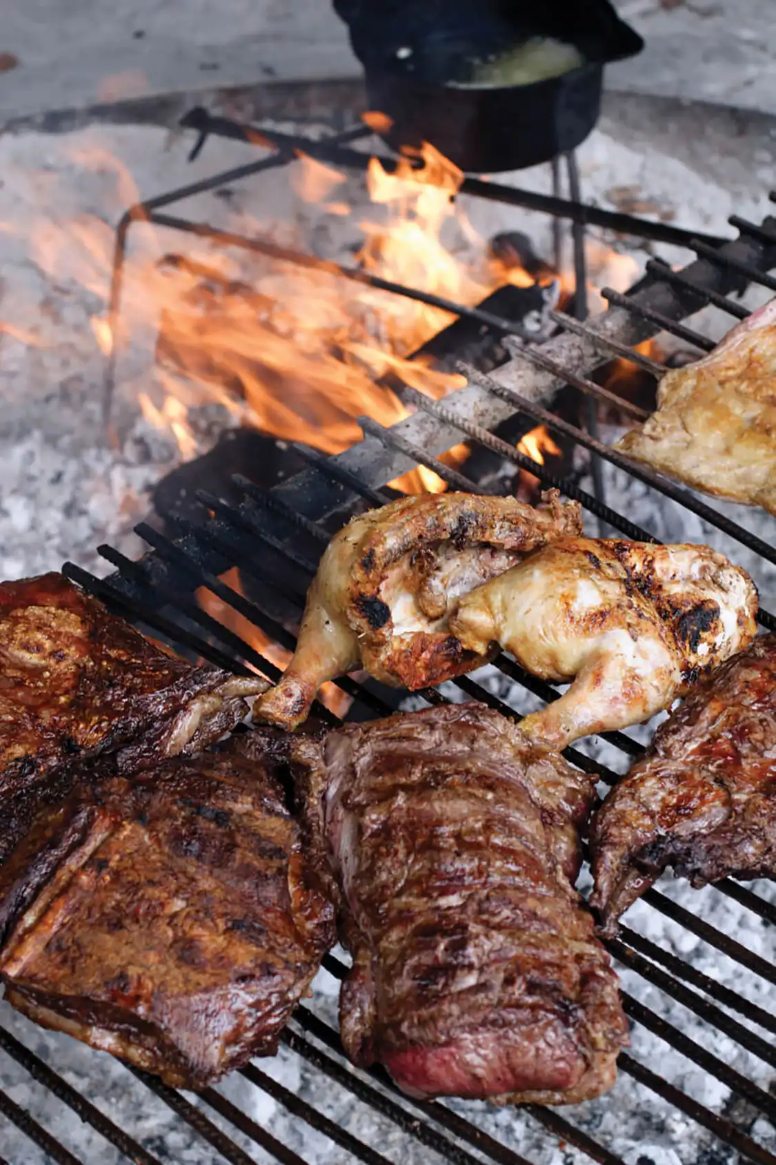 Mastering some grilling basics will give you the skillset to eventually start cooking several cuts of meat at once, whether it be beef, chicken or lamb. 