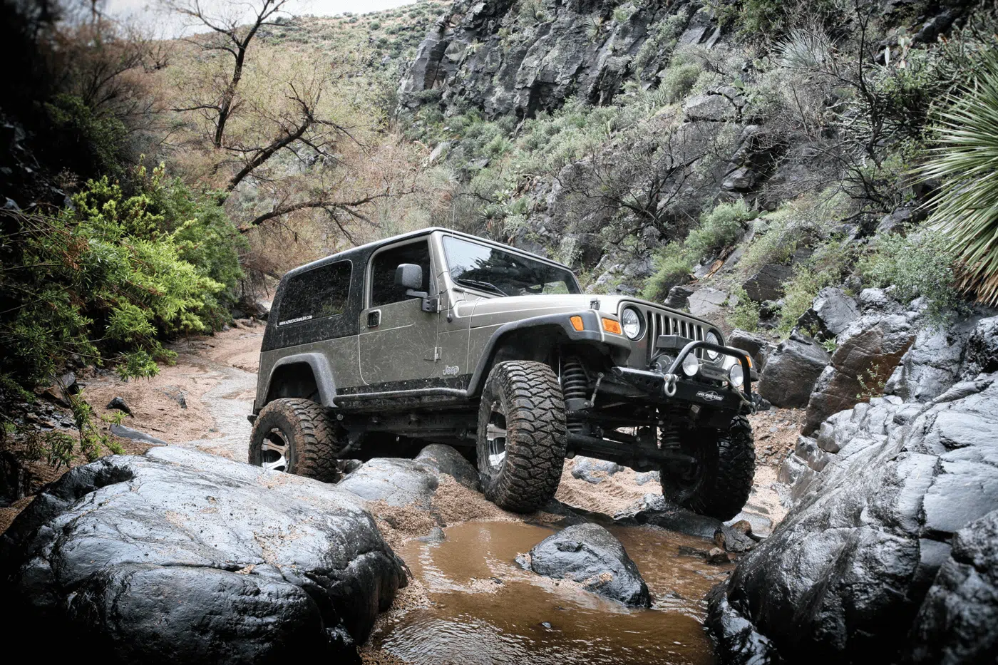 log corral trail