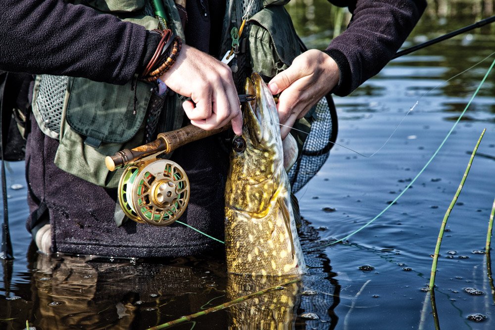 Pike Fly Rods Fly Fishing