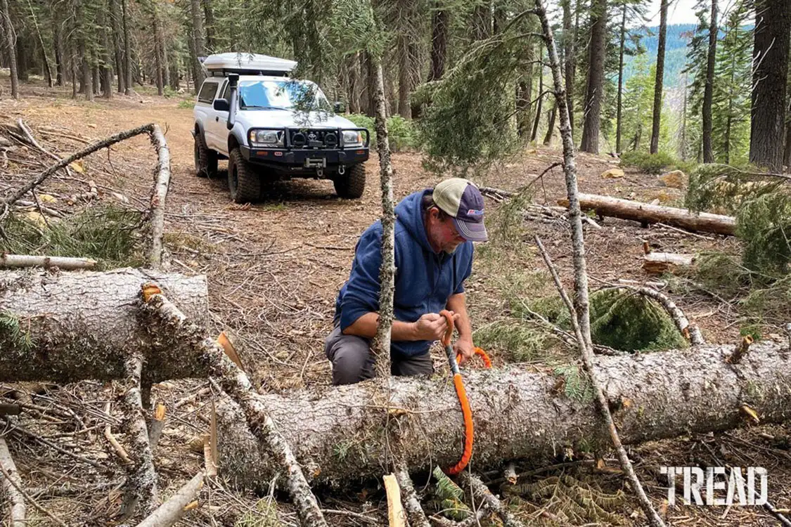 Pioneering a new track around a downed tree