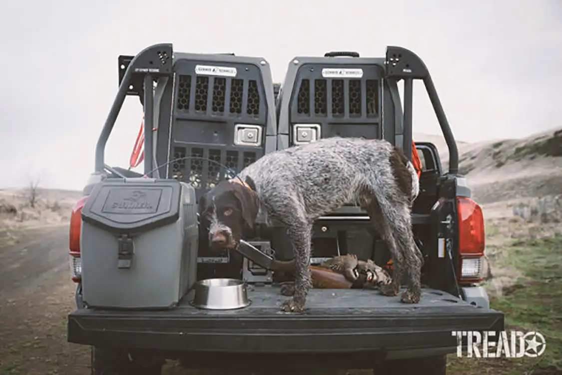 Traveling in a truck makes it easier to haul two kennels and a food storage container