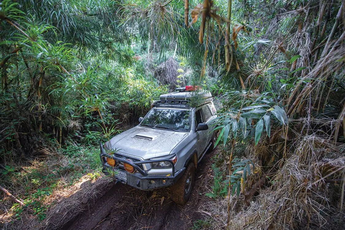 Sierra de las Minas National Park, Guatemala