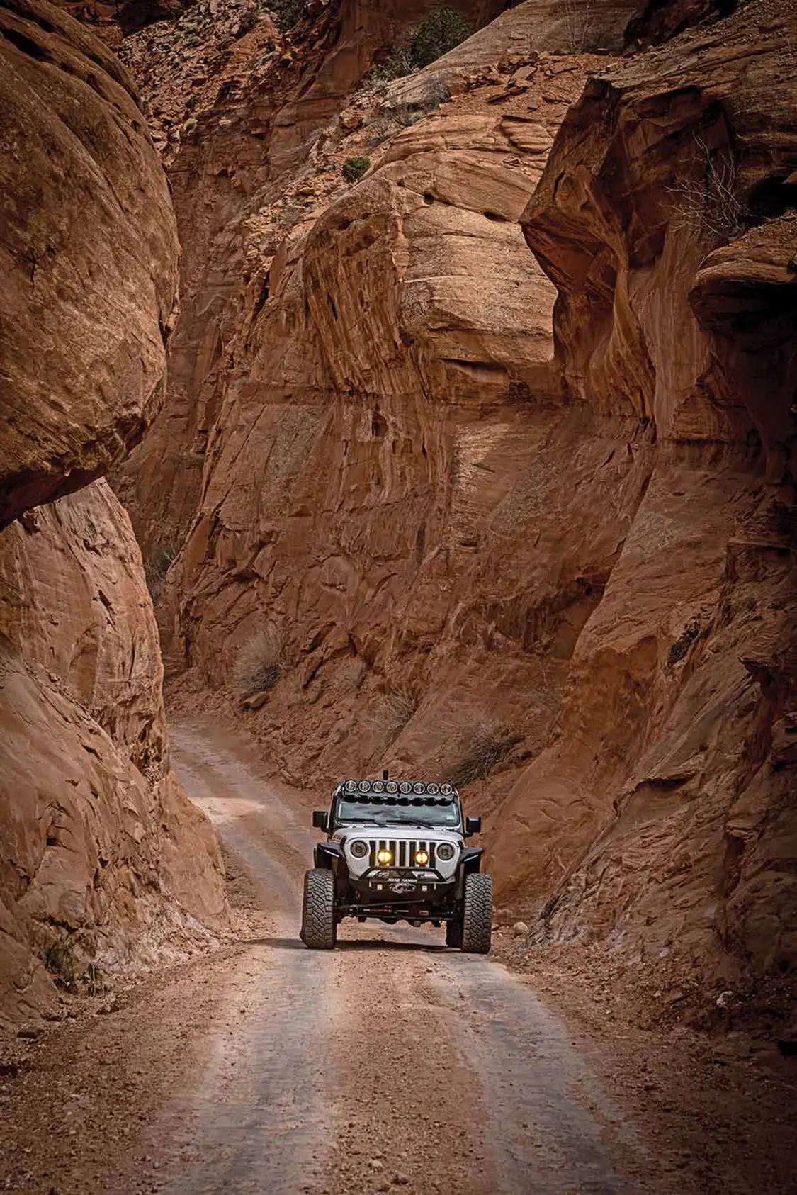 A long trail in Moab